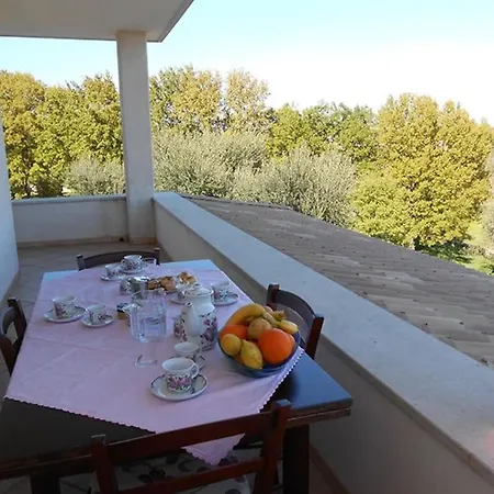 Querceto With Private Pool * Cisternino